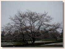 q隬ɂ