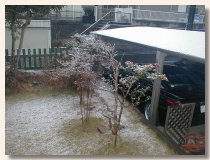 初雪