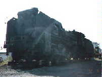 D51